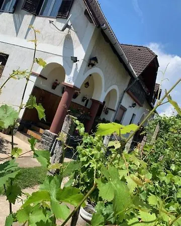 Pista Bacsi Vendeghaza * Badacsonytomaj