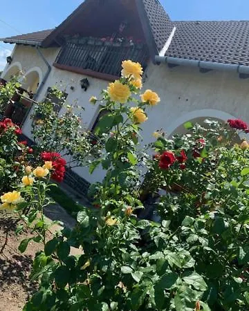 Pensjonat Pista Bacsi Vendeghaza