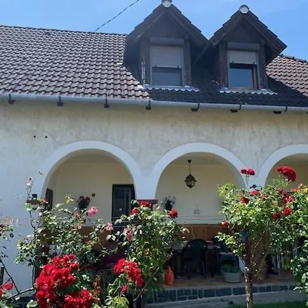Pista Bacsi Vendeghaza *