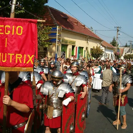 Pista Bacsi Vendeghaza Pensjonat *